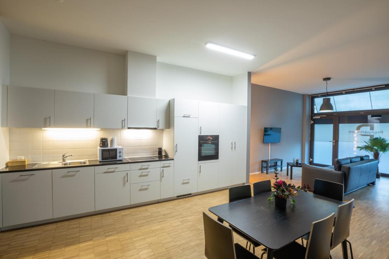 Proapartment Basel Dış mekan fotoğraf